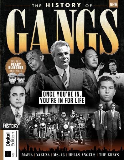 The History of Gangs 2nd Edition 2025