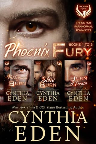 Phoenix Fury Series - Ebook Club Global